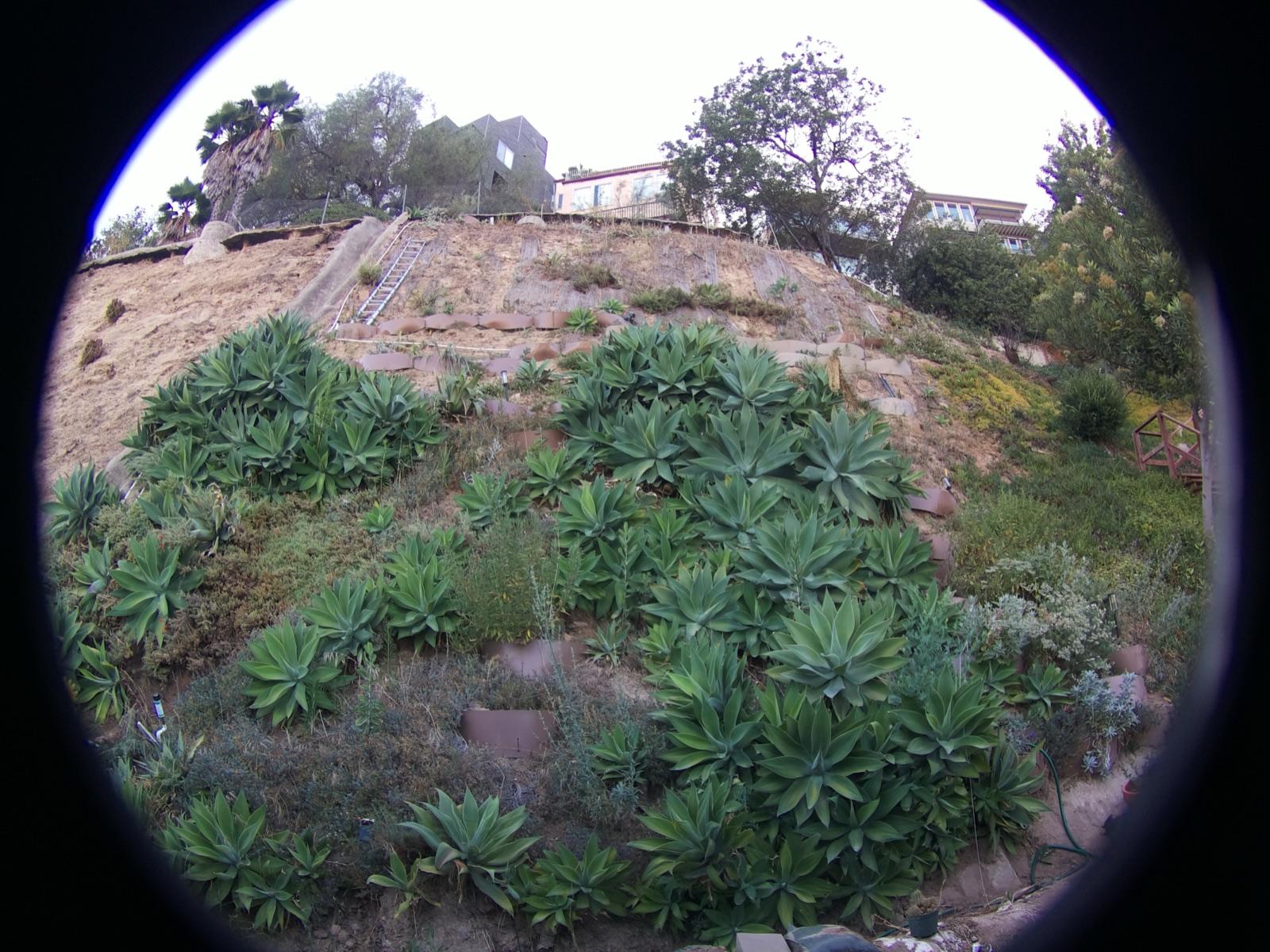 First outdoor frame from the mounted camera: hillside plantings inside the lens's circular image, with a black vignette in the corners